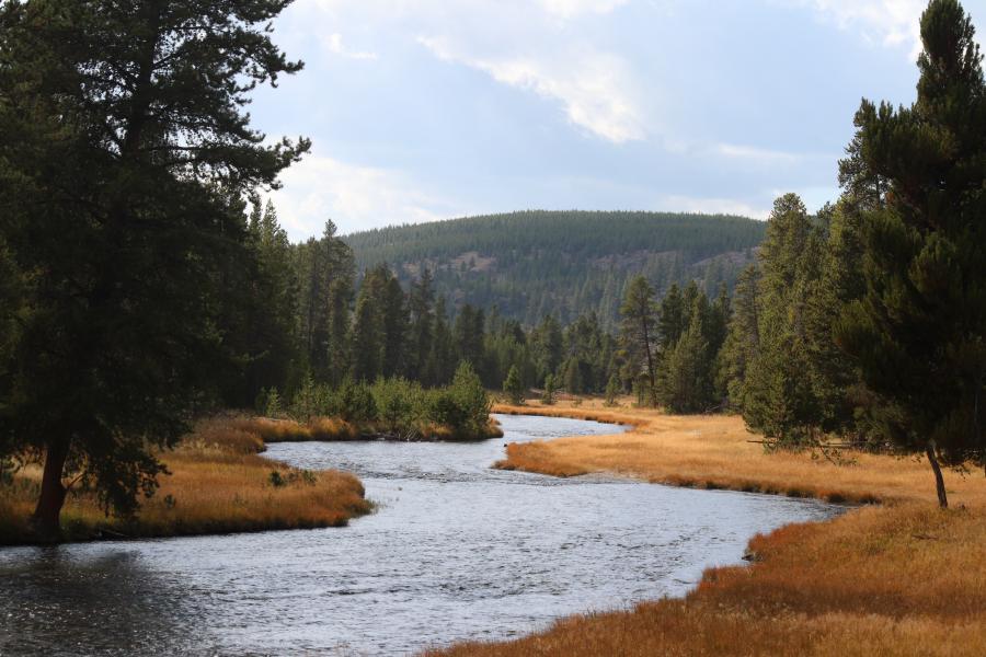 The Nez Perce Canal in Yellowstone National Park