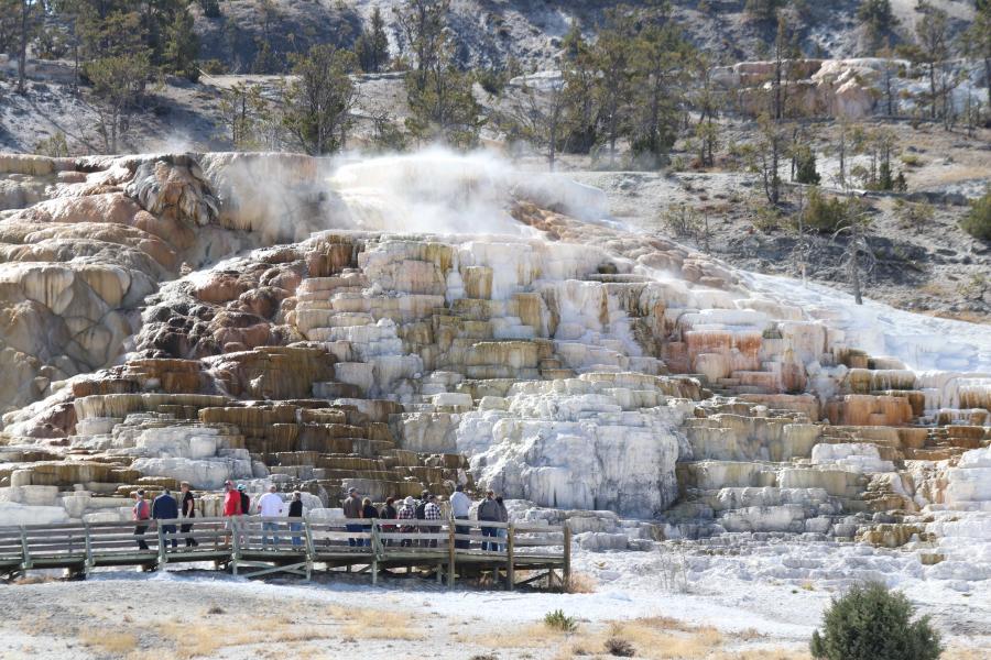 Mammoth Hot Springs