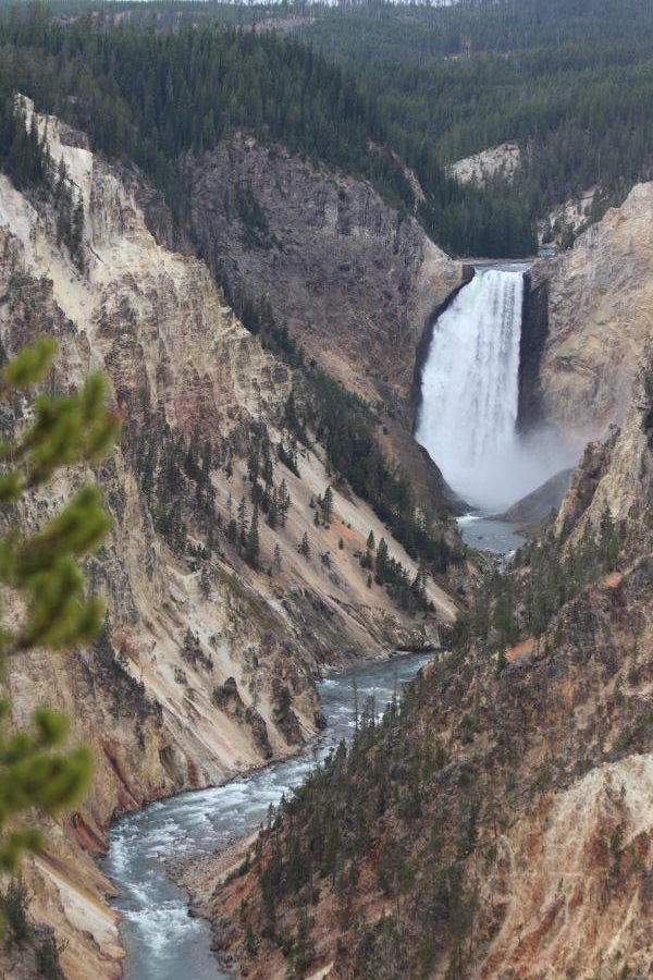 Lower Falls of The Yellowstone River