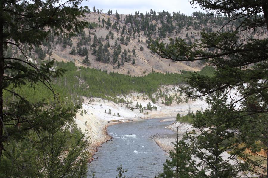 Yellowstone River Along The Sulphur Hills