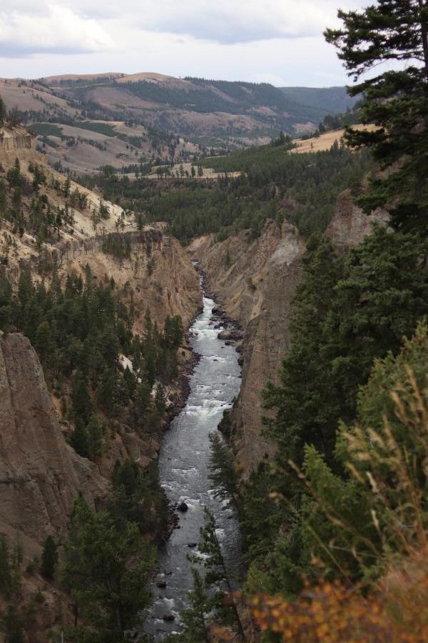 Yellowstone River Through The Canyon